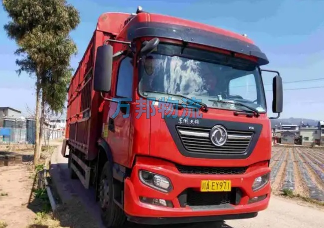 東莞到麗水物流公司-東莞到麗水物流專線-從深圳發(fā)貨到麗水