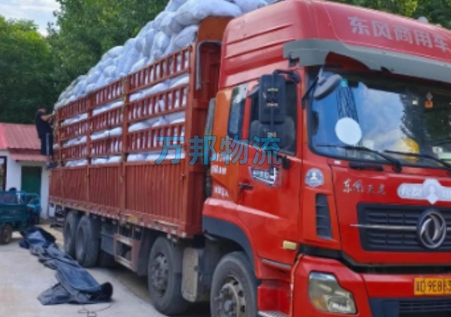 東莞到龍巖物流公司-東莞到龍巖物流專線-從深圳發(fā)貨到龍巖